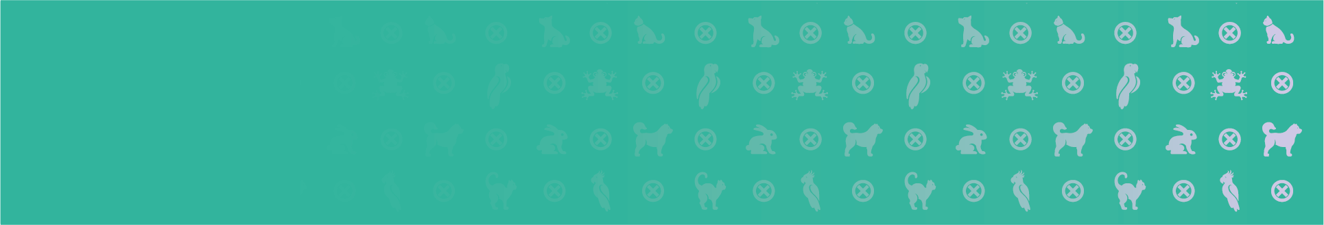 Comprar placas online