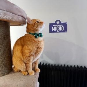 Placas de señalización personalizadas