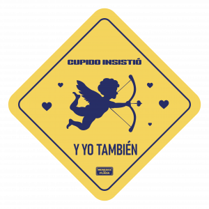 Cupido insistió y yo también